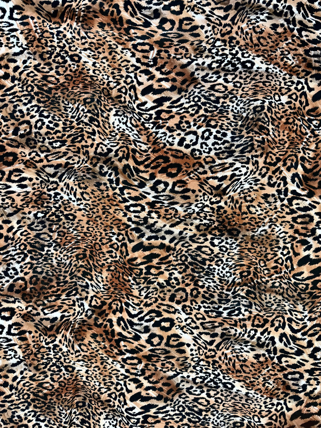 Urban Leopard